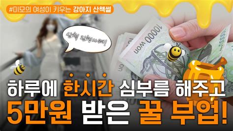 매일 5만원 이상 하루에 투잡으로 누구나 할 수 있어요 퇴근 후 가능한 부업 Youtube