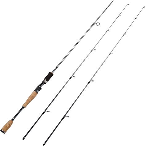 Best Topwater Rods of 2020