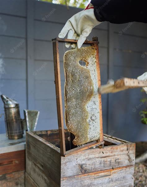 Premium Photo | Bees farm and beekeeper in honey production on an outdoor factory on a ...