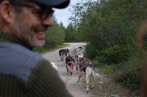 The best Churchill, Manitoba tours - Your Intrepid Family