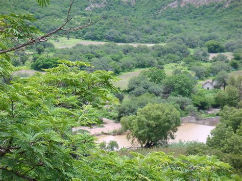 Carretera Vieja Rioverde A Slp Sierra De Lvarez M X Flickr