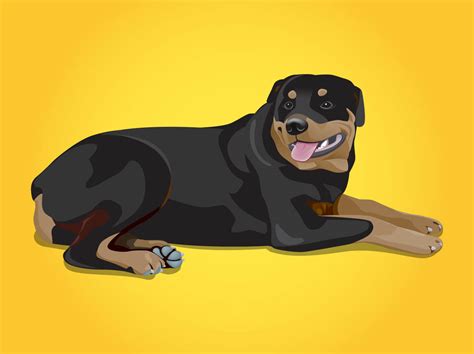 Rottweiler Vector Vector Art And Graphics