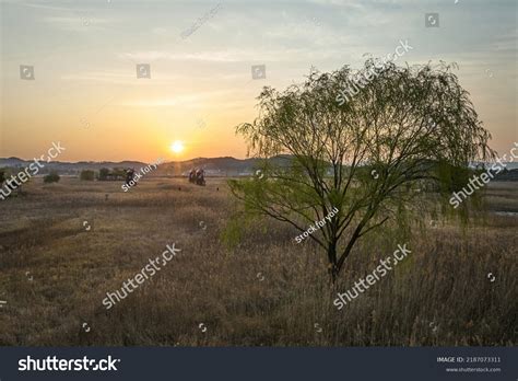 Siheungsi Gyeonggido South Korea April Stock Photo