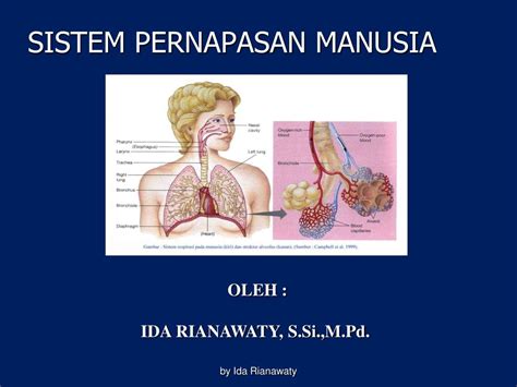 Ppt Sistem Pernapasan Homecare24