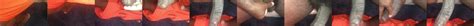 Biorksen Jerk Off This BBC And Cum Gay Porn 9f XHamster XHamster