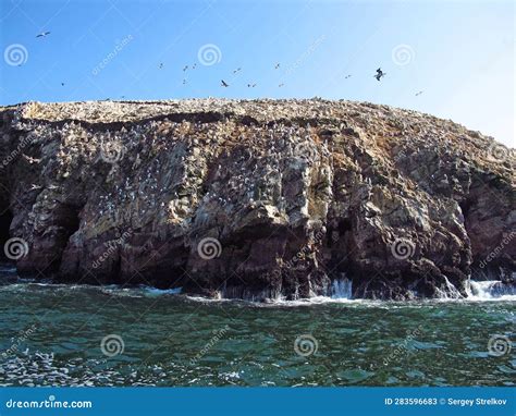 Rocks With Animals In The Pacific Ocean Paracas Peru Stock Image