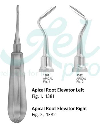 Apical Root Elevator Left Right Fig Relpro