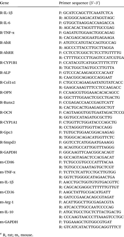 Primer sequences for the quantitative polymerase chain reaction a ...