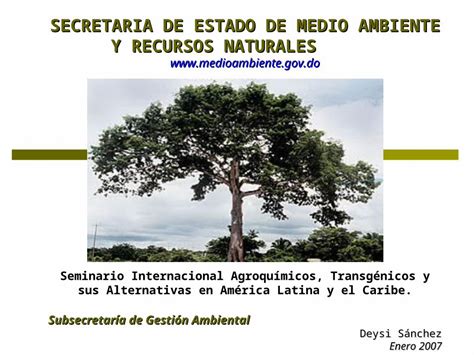 PPT SECRETARIA DE ESTADO DE MEDIO AMBIENTE Y RECURSOS NATURALES