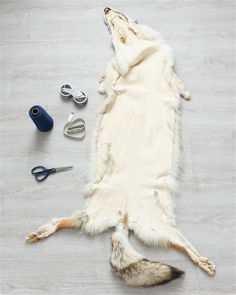 Coyote Fur Pelt Tanned Skins Animal Hides