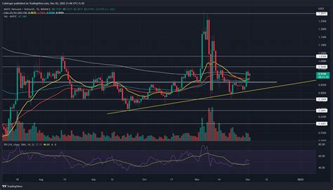 Here's Why MATIC Coin Price May Surpass $1 In Near Future