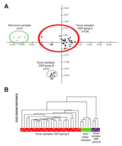 Classification Of Pdac Tumors And Non Tumoral Pancreatic Tissues Based