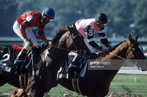 Jockey Steve Cauthen Riding Affirmed In Action Vs Jorge Velasquez