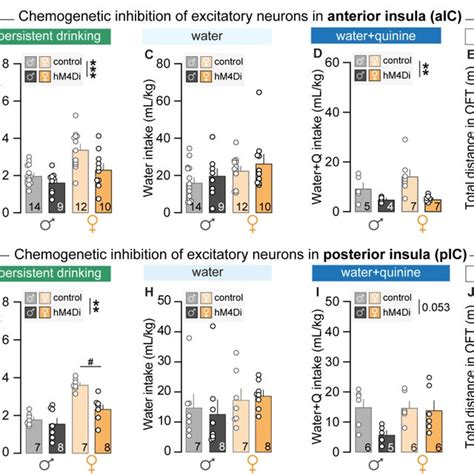 Coding Properties Of Posterior Insular Cortex Pic Excitatory Neurons