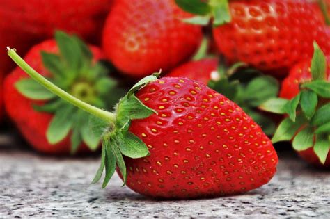 Ciências da Natureza As frutas do Brasil Conexão Escola SME