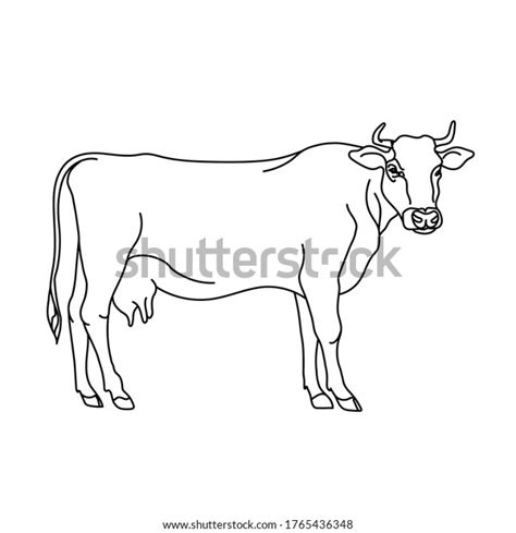 Cow Line Drawing Minimalistic Style Logo Stock Vector Royalty Free