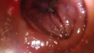 POV把你吞进我横向的尖端 Pornhub Gay