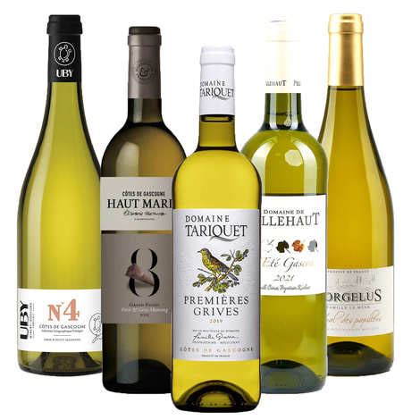 Assortiment découverte 5 vins blancs du Sud Ouest