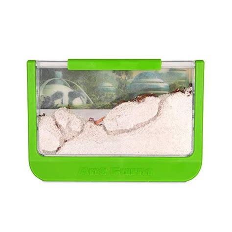 Uncle Milton Giant Ant Farm Large Viewing Area Care For Live Ants