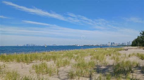 Hanlan S Point Nude Beach View On Toronto Islands Stock Photo Image Of Park Harbour 288129692