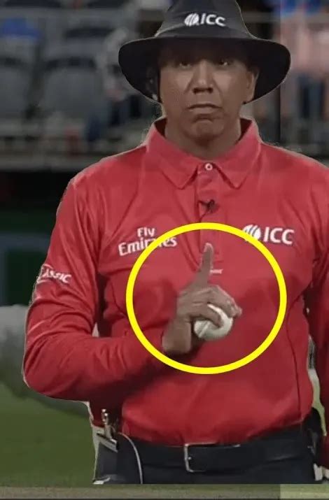 All about cricket umpire hand signals — Different types and their ...