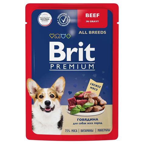 Корм для собак Brit 85г Premium Dog всех пород говядина в соусе купить ...