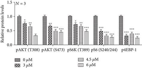 Pp Inhibits The Akt Mtorc Pathway In U And U Mg Cells A B