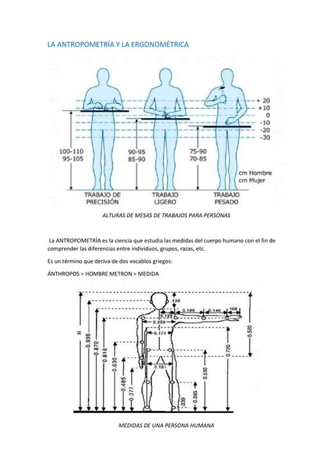 Antropometria