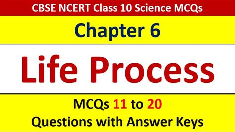 Life Processes CBSE Class 10 Science MCQ Questions with Answer Keys