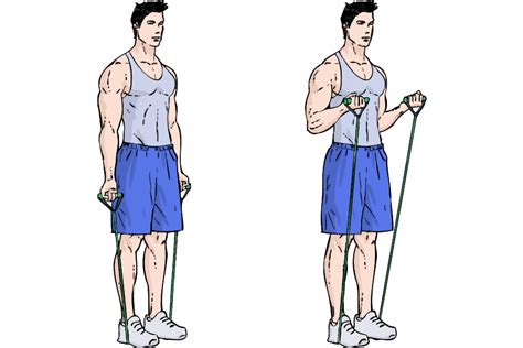 Free Workout Resistance Band Upper Body Smash · Workoutlabs Fit