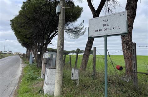 Incidente Roma Auto Sbatte Contro Un Albero Morti