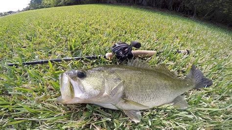 Catching Largemouth Bass On Worms Youtube