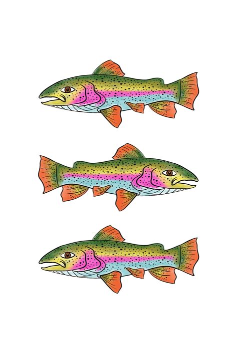 Rainbow Trout Digital Download - Etsy