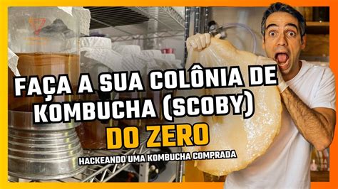 Como Fazer Seu Pr Prio Scoby De Kombucha Tutorial Youtube