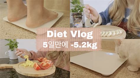 단기간 다이어트 식단 Eng 5일동안 5 2Kg 운동없이 식단 다이어트 단기간 급찐급빠 일주일 다이어트