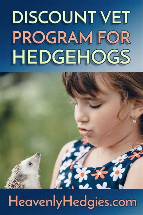 Hedgehog Illnesses and Symptoms - Heavenly Hedgies