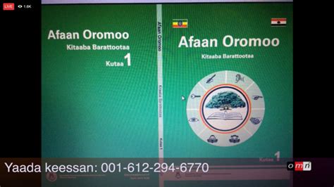 In Ethiopia, Authorities’ Reshuffling of the Oromo Language Alphabet ...