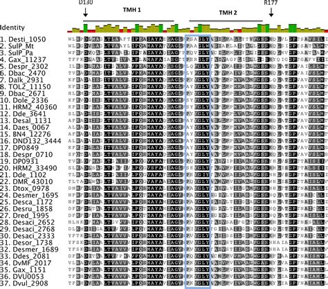 Frontiers Sulfate Transporters In Dissimilatory Sulfate Reducing