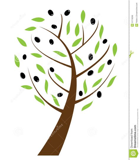 Olive tree clipart - Clipground