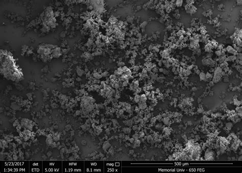 Scanning electron microscopy (SEM) micrographs of untreated (a -2 mm ...