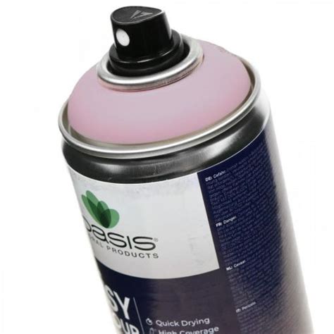 Floristik24 De OASIS Easy Colour Spray Lack Spray Zartrosa 400ml