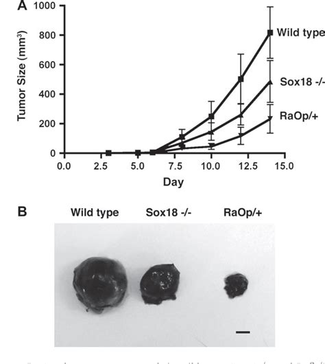 Figure From Effect Of Disrupted Sox Transcription Factor Function