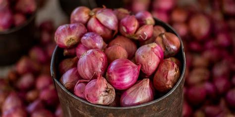 4 Tips Menjaga Kualitas Bawang Merah Setelah Panen