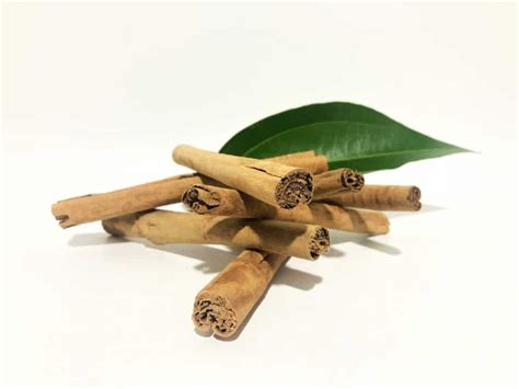 Cinnamomum Ceylon Naturmed Scientific