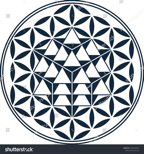 Flower Life Sacred Geometry Vector Equilibrium Stock Vector Royalty Free 1403359622 Shutterstock