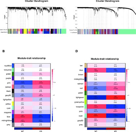 Weighted Gene Co Expression Network Analysis Wgcna A The Gene