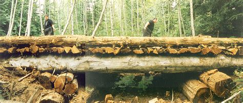 Building with LOGS - Building a Logging Bridge