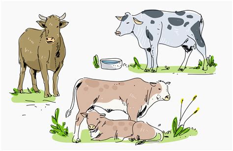 Cattle In Farm Hand Drawn Vector Illustration 207634 Vector Art At Vecteezy