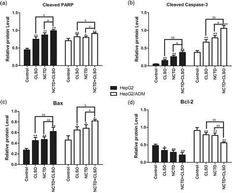 Western Blotting Results Of Parp Caspase 3 Bax And Bcl 2 In Hepg2 And