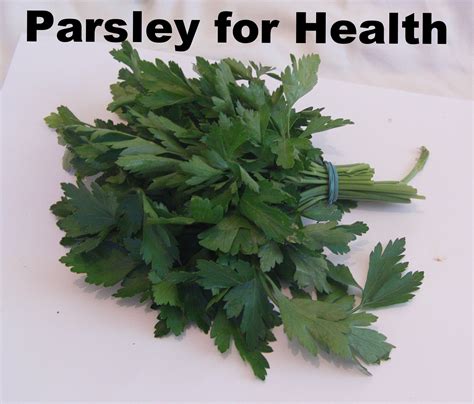 Health Benefits of Parsley